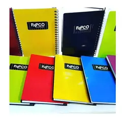 دفتر یادداشت متالیک پاپکو (647)