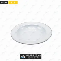 بشقاب گود هتلی نصیری