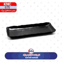 دیس مستطیل سایز بزرگ مشکلی