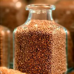 کنجد ایرانی قهوه ای