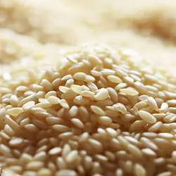 کنجد پوست کنده + خرید و قیمت استثنایی