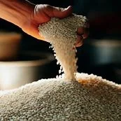 کنجد سفید پوست کنده