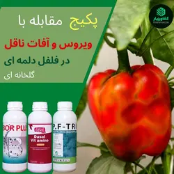 پکیج مخصوص مقابله با ویروس و آفات ناقل در فلفل دلمه گلخانه