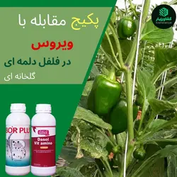 پکیج مخصوص مقابله با ویروس فلفل دلمه ای گلخانه ای