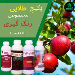 پکیج طلائی رنگ گیری سیب