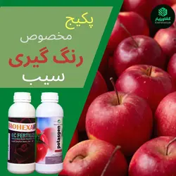 پکیج رنگ گیری سیب
