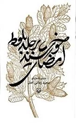 امضای خورشید بر جلد بلوط