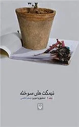 نیمکت‏ هاى سوخته – جلد دوم