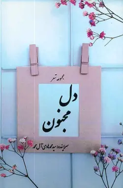 مجموعه شعر دل مجنون