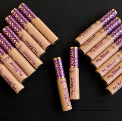 کانسیلر ارتسکین