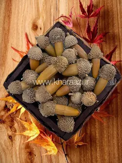 بلوط طبیعی 10 عددی