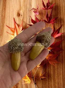 بلوط طبیعی 10 عددی