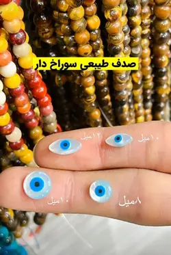 صدف طبیعی سوراخ دار