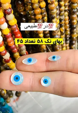 صدف طبیعی سوراخ دار