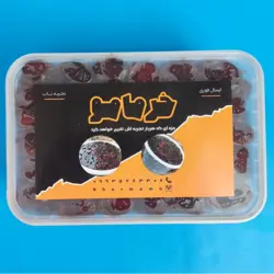 خرما | خرما خاصویی روزانه | 600 گرمی