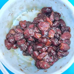 خرما | خرما خاصویی سطلی | 4.5 کیلویی