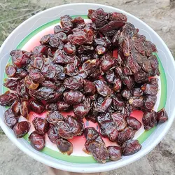 خرما | خرما خاصویی سطلی | 4.5 کیلویی