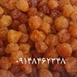 آلوچه زرد خورشتی