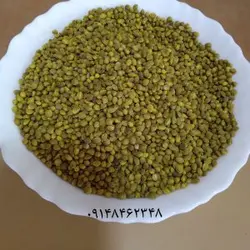 شاهدانه خوشمزه