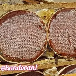 عسل با موم طبیعی چهل گیاه کندوان