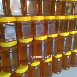 عسل کندوان