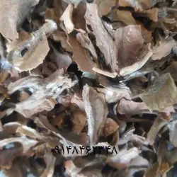 پر گردو ـ وزن ۲۵۰گرم