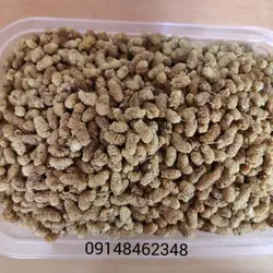 توت طبیعی اعلا ـ ۱کیلو