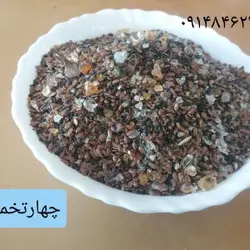 چهار تخمه ـ ۲۰۰گرم
