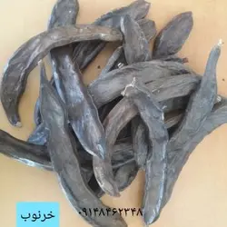 خرنوب ـ ۲۰۰گرم