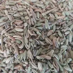 رازیانه ـ  ۲۰۰گرم