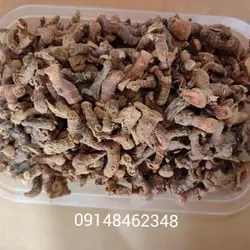 قولنجان ـ  ۲۰۰گرم