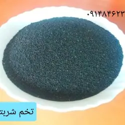 تخم شربتی ـ۲۰۰ گرم