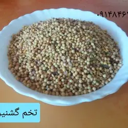 تخم گشنیز ـ ۲۰۰ گرم