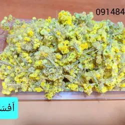 افسطین