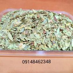 برگ سنا