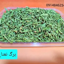 برگ نعناع ـ ۲۵۰گرم