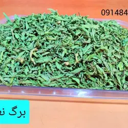 برگ نعناع ـ ۲۵۰گرم