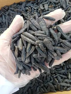 تخمه سیاه خویblack seed
