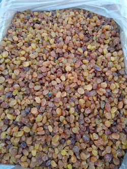 کشمش پلویی یک کیلوییGolden pilaf raisins