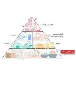 برنج هاشمی آستانه کیمیا ۱۰ کیلوگرم