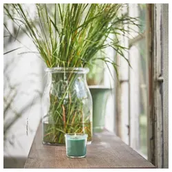 شمع معطر چمن تازه ایکیا مدل Ikea HEDERSAM 805.023.66