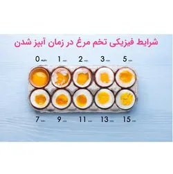 تخم مرغ پز 16 عددی جیپاس مدل GEEPAS GEB63019UK