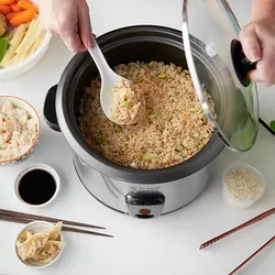 پلوپز راسل هابز مدل Russell Hobbs Electric Rice Cooker & Steamer – 1.8L 19750