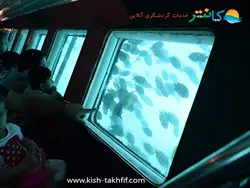کشتی آکواریوم کیش (تمام کشتی های کف شیشه ای) با تخفیف خرید آنلاین و رزرو بلیط