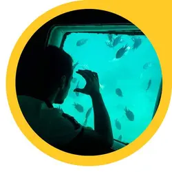 کشتی آکواریوم کیش