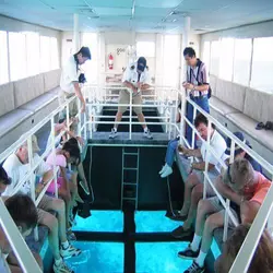 کشتی آکواریوم کیش