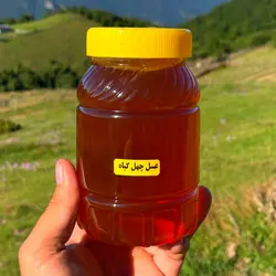 عسل طبیعی چهل گیاه (یک کیلویی)