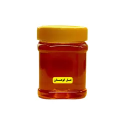 عسل درمانی کوهستان ( نیم کیلویی)