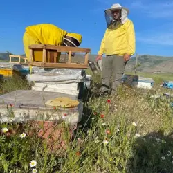 عسل درمانی کوهستان ( نیم کیلویی)