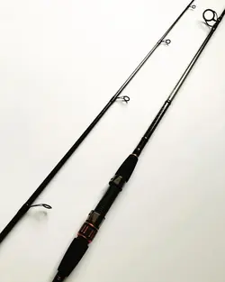 چوب ماهیگیری دایوا DAIWA PROCASTER A